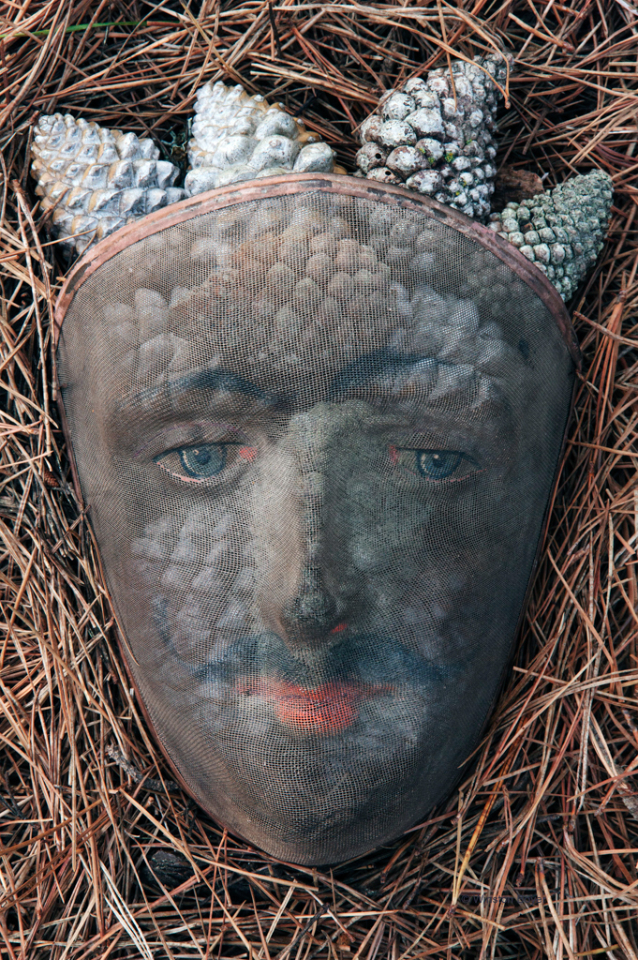 Mask and Pine Cones